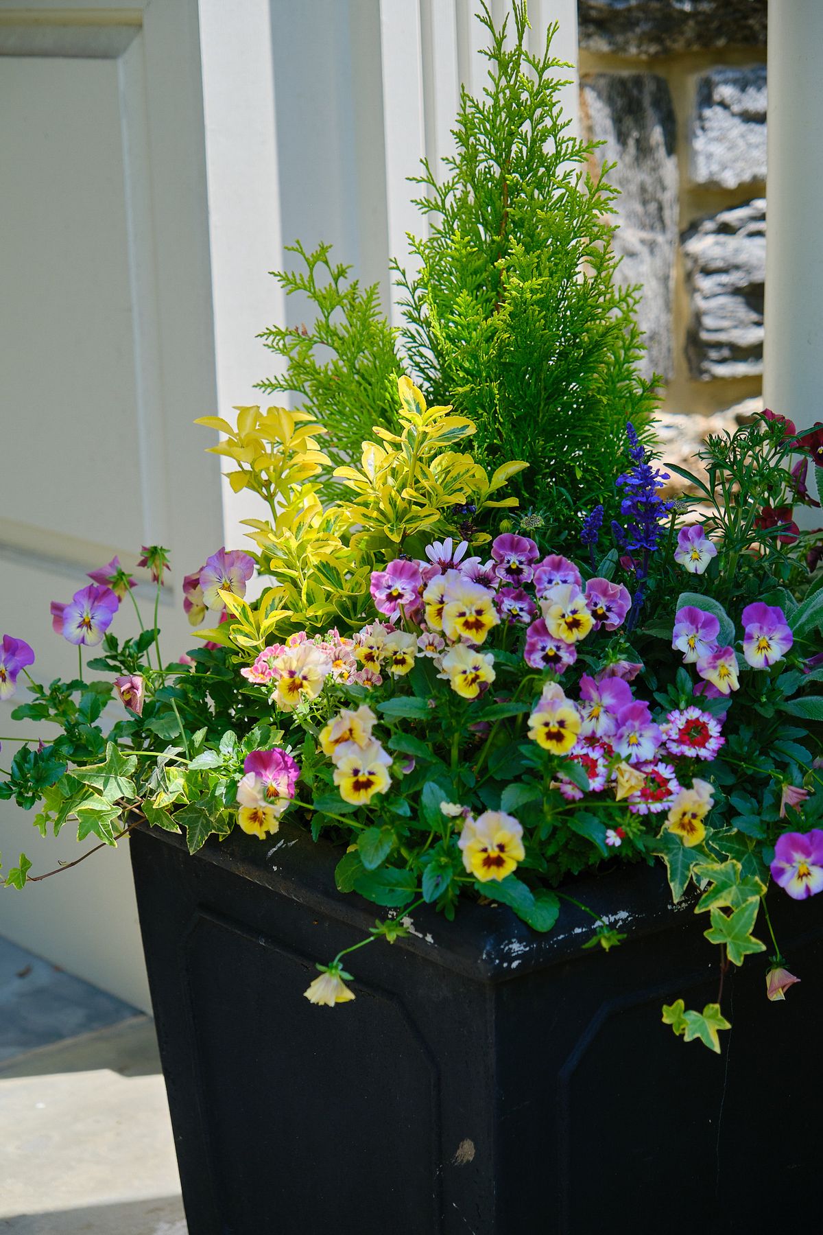 Enliven Planters spring container arrangement